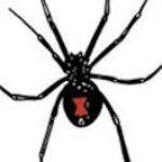 Profile picture of BlackWidow